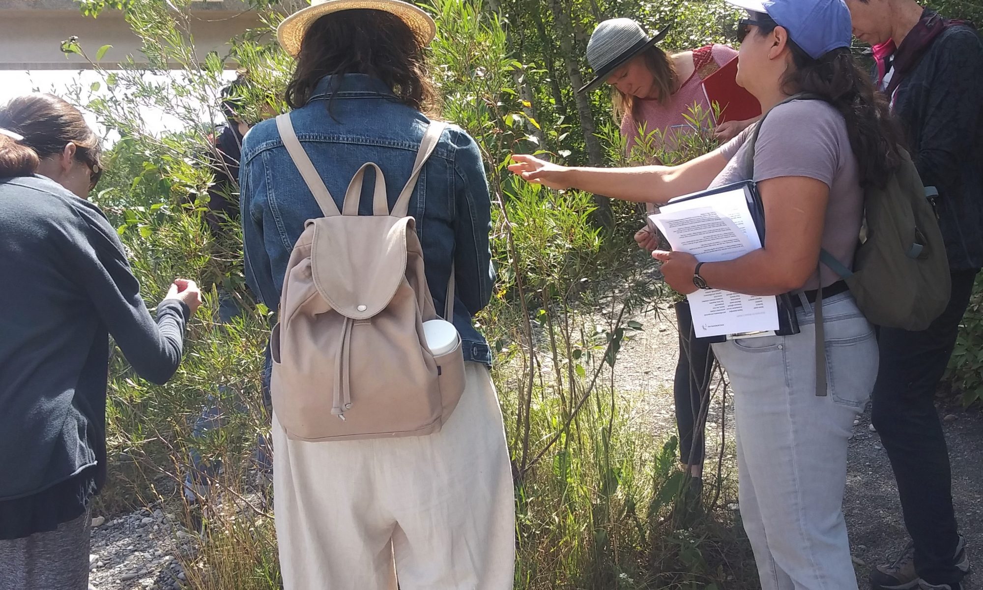 Education, Educational services, ALCLA Native Plants, Native plants, Teaching