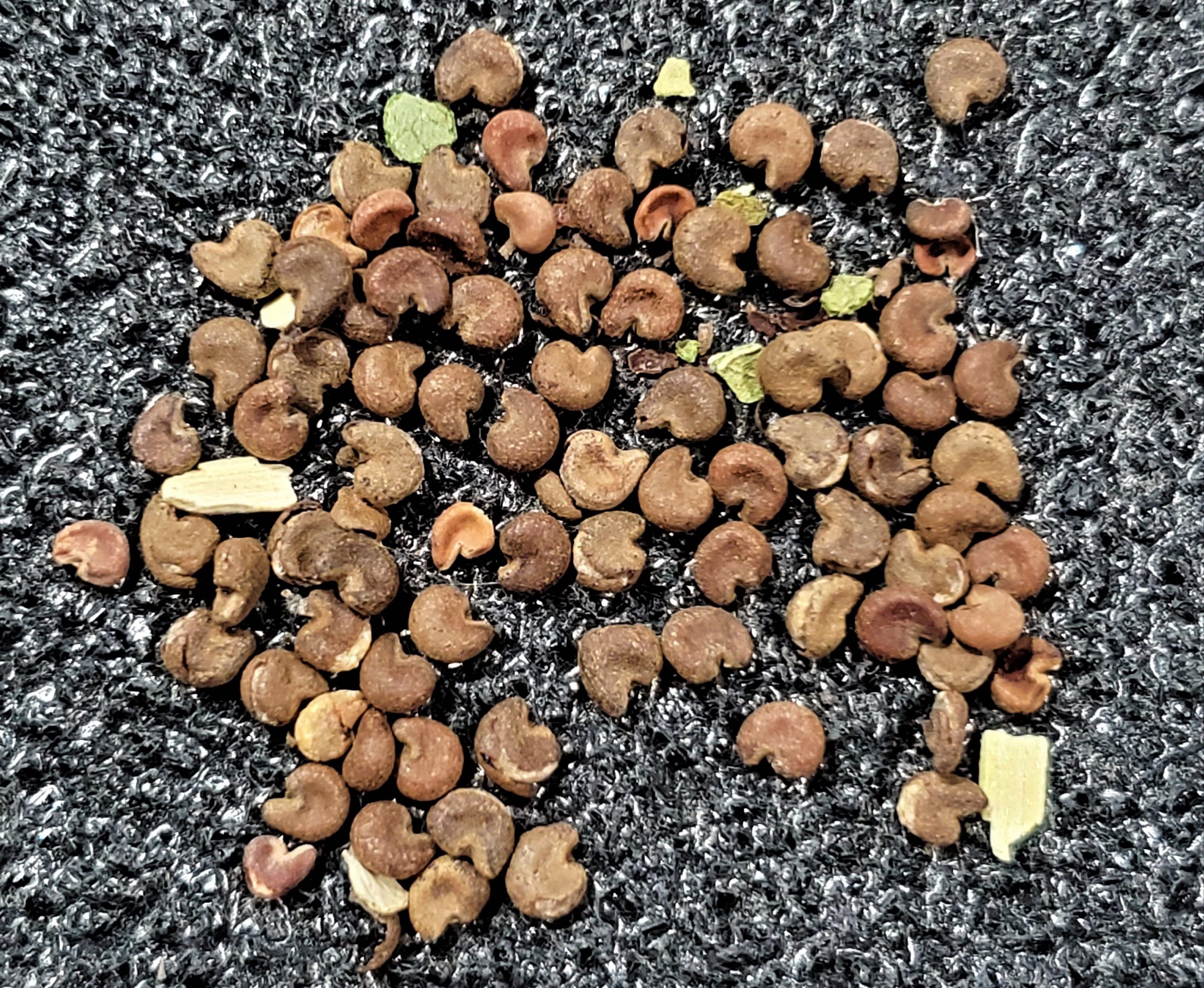 Starting Native Plants from Seed